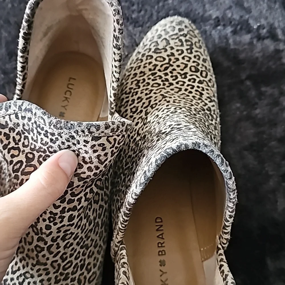 Booties - Picture 6 of 6